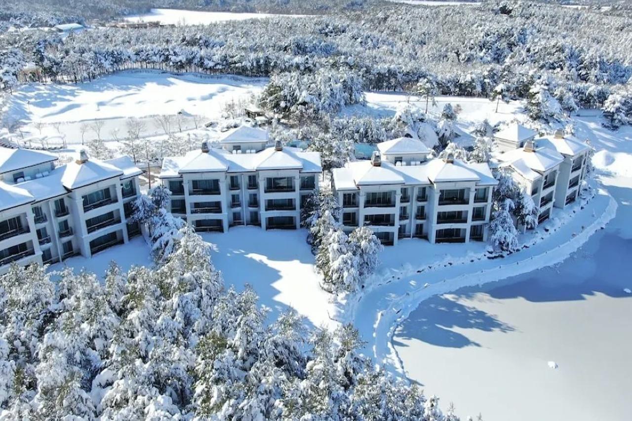 Pineridge Hotel Сокчо Екстериор снимка