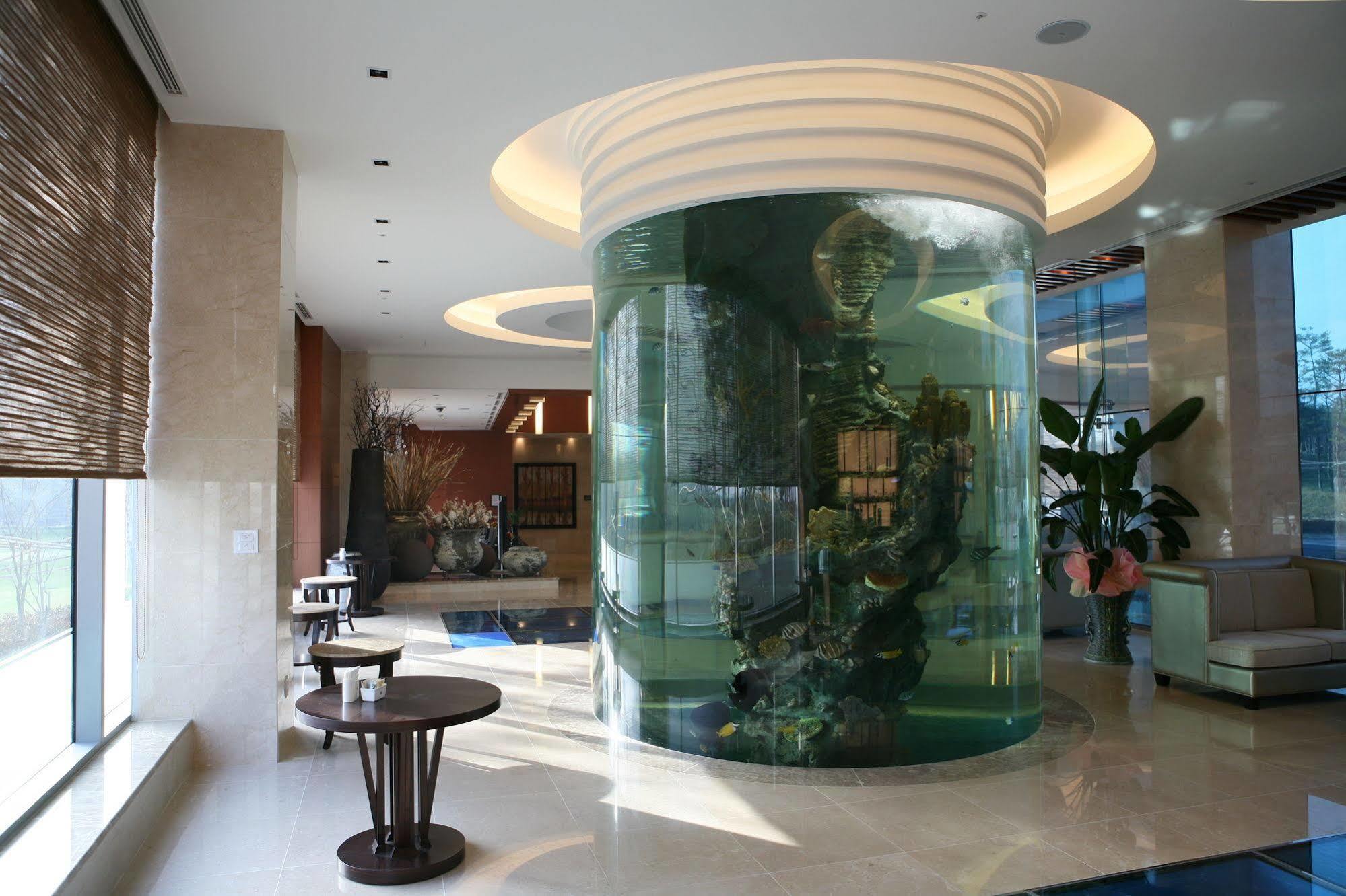 Pineridge Hotel Сокчо Екстериор снимка